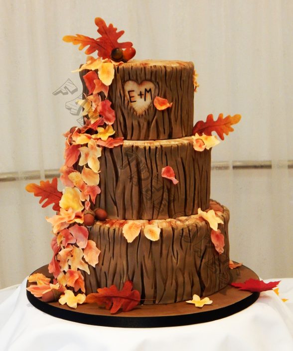 Autumn Log #2